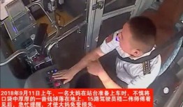 鹏哥爆料司机视频大全最新,最新司机视频大全，一窥行业真实面貌